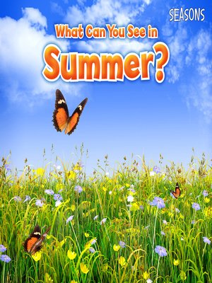 cover image of What Can You See In Summer?